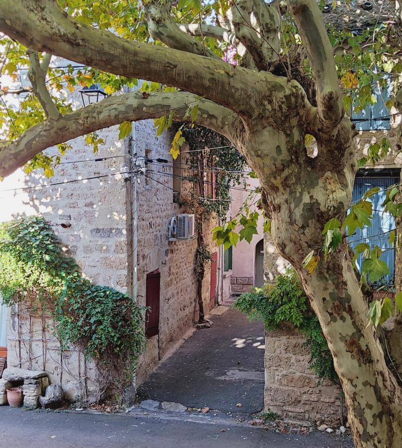 Fontilha Frühstückspension Usclas-l'Herault